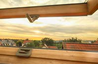 rated Cwmcarvan roof window companies